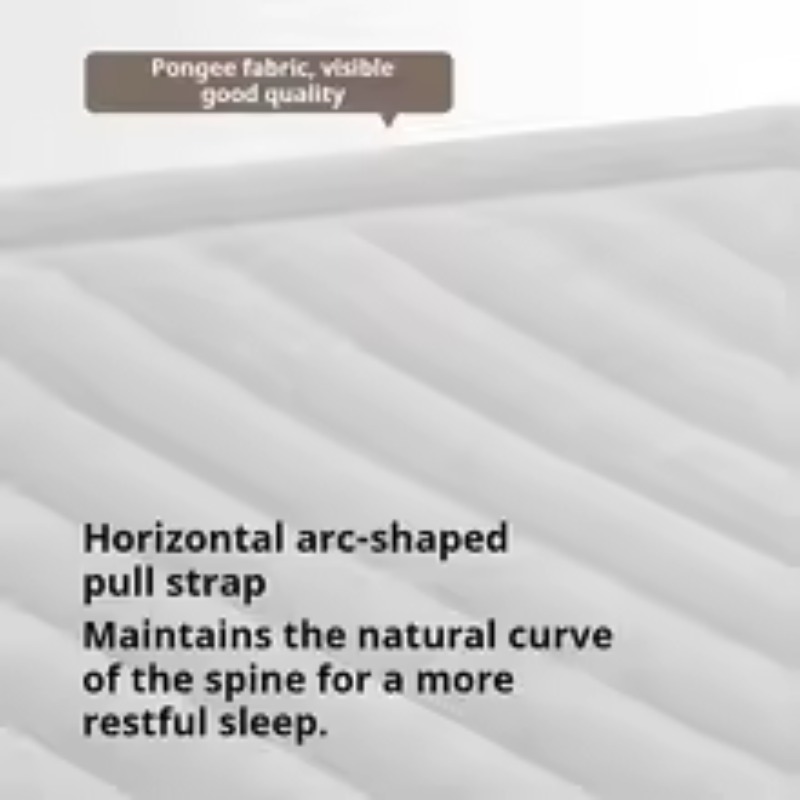 Inflatable Air Mattress Built- – Tech Queen recenzja i cena