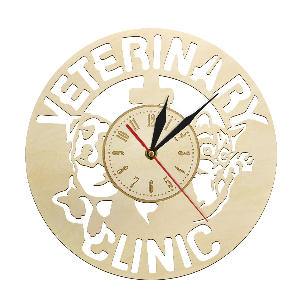Veterinary Clinic Accessory Wo – Tech Accessories To Gift recenzja i cena